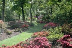 garden030