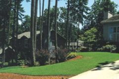 lawn2