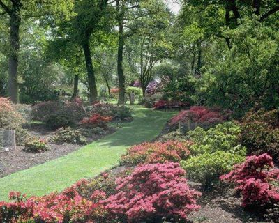 garden030