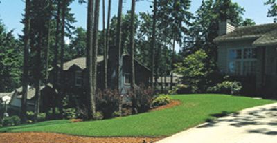 lawn2